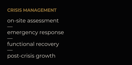 crisis management