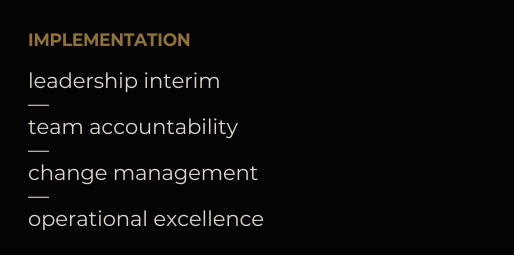 on-site implementation - interim CTO - interim COO - interim CEO