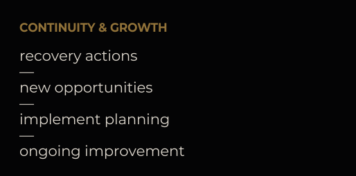 business continuity consulting