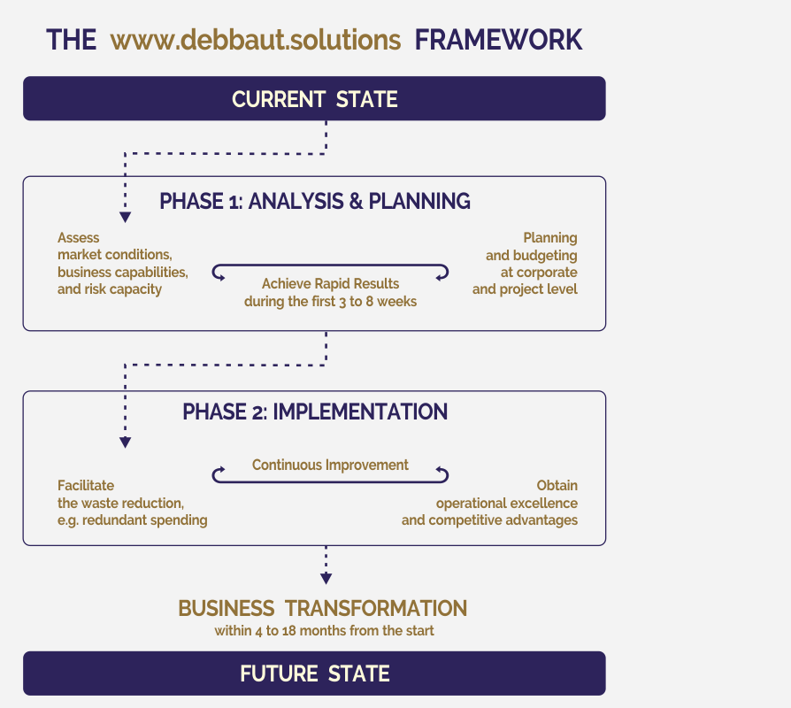 https://www.debbaut.solutions/wp-content/uploads/2018/08/debbaut-solutions-framework-swiss.png