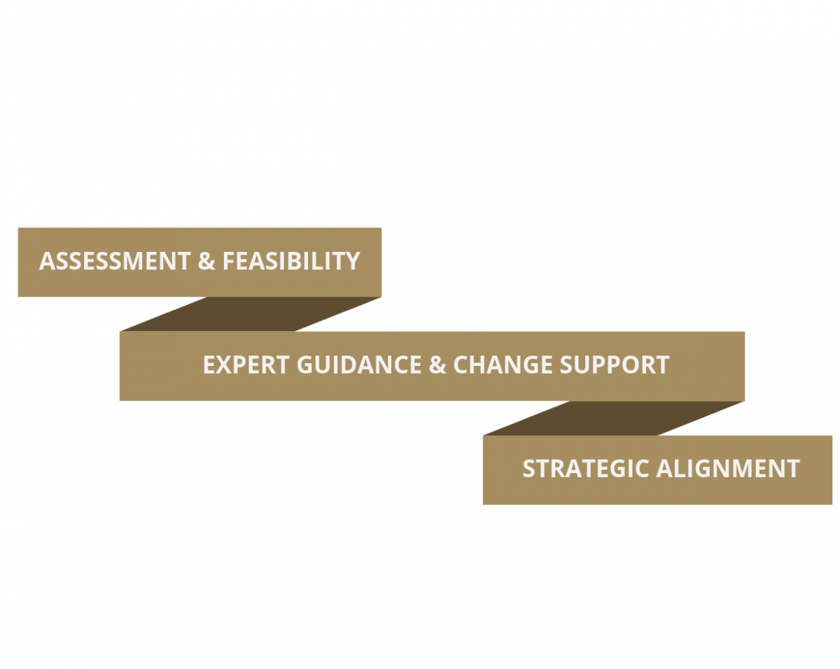 https://www.debbaut.solutions/wp-content/uploads/2018/09/1809_business_executive_coaching_mentoring-1200x956.png