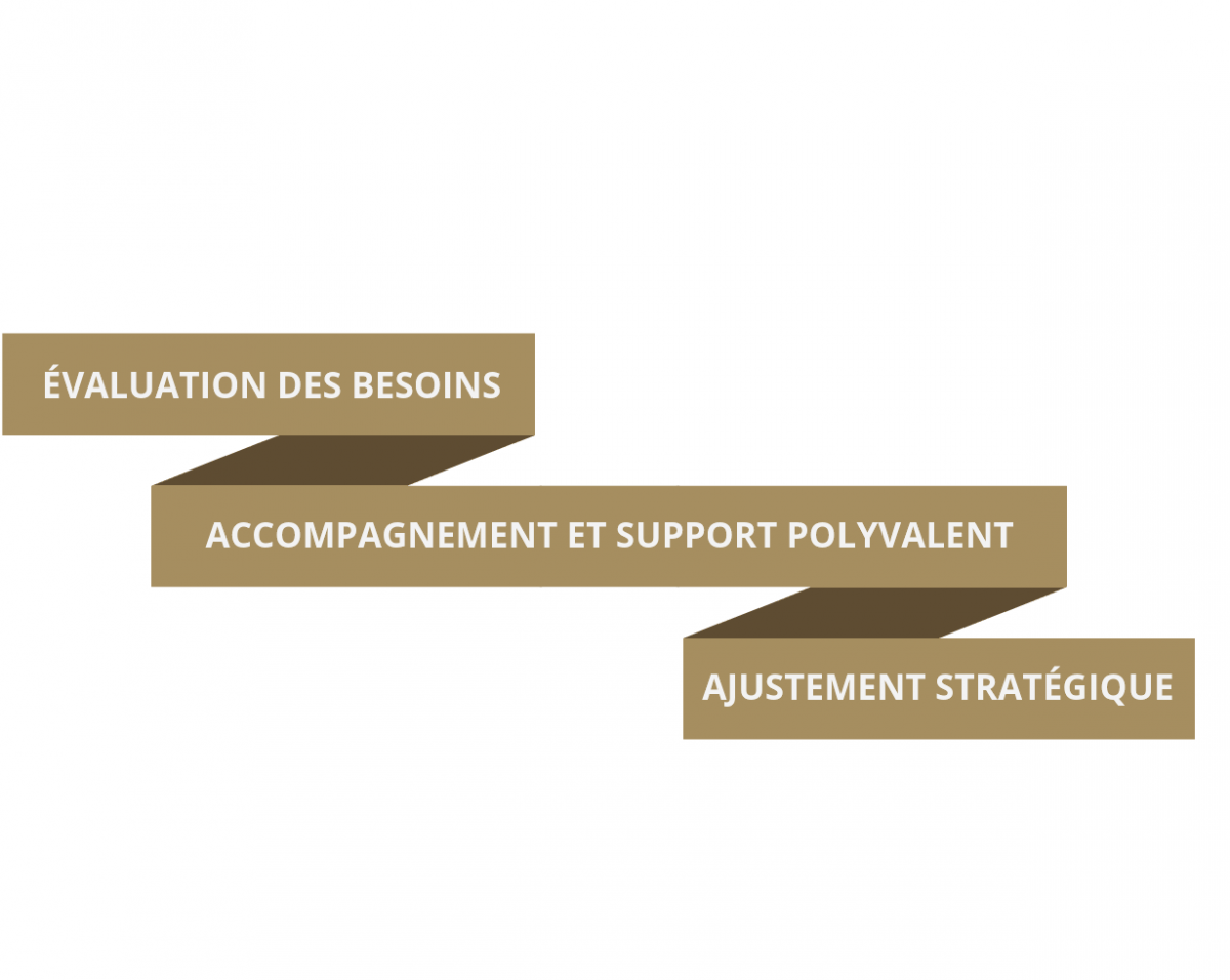 https://www.debbaut.solutions/wp-content/uploads/2018/09/1809_coaching_mentorat_executif_conseils_entreprises-1200x956.png