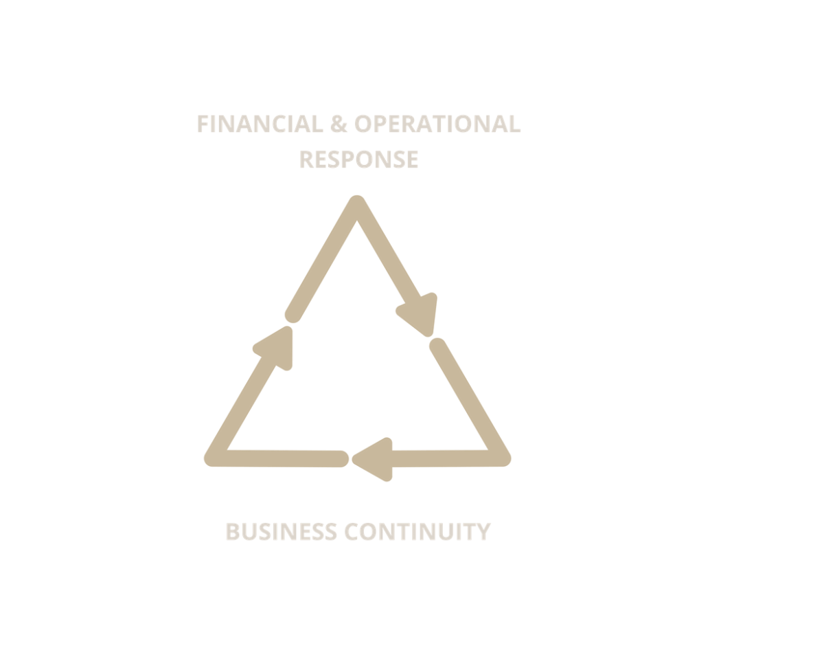 https://www.debbaut.solutions/wp-content/uploads/2018/09/1809_interim_management_response_DebbautSolutions-1200x956.png