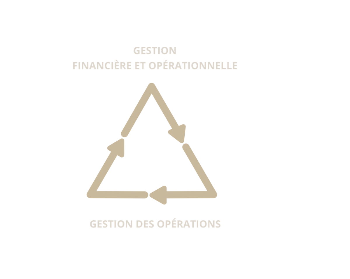 https://www.debbaut.solutions/wp-content/uploads/2018/09/1809_solutions_management_transition_DebbautSolutions-1200x956.png