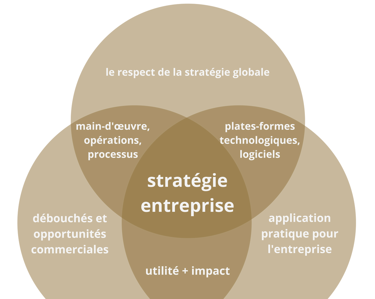 https://www.debbaut.solutions/wp-content/uploads/2018/09/Debbaut.Solutions-business-vision_FR.png
