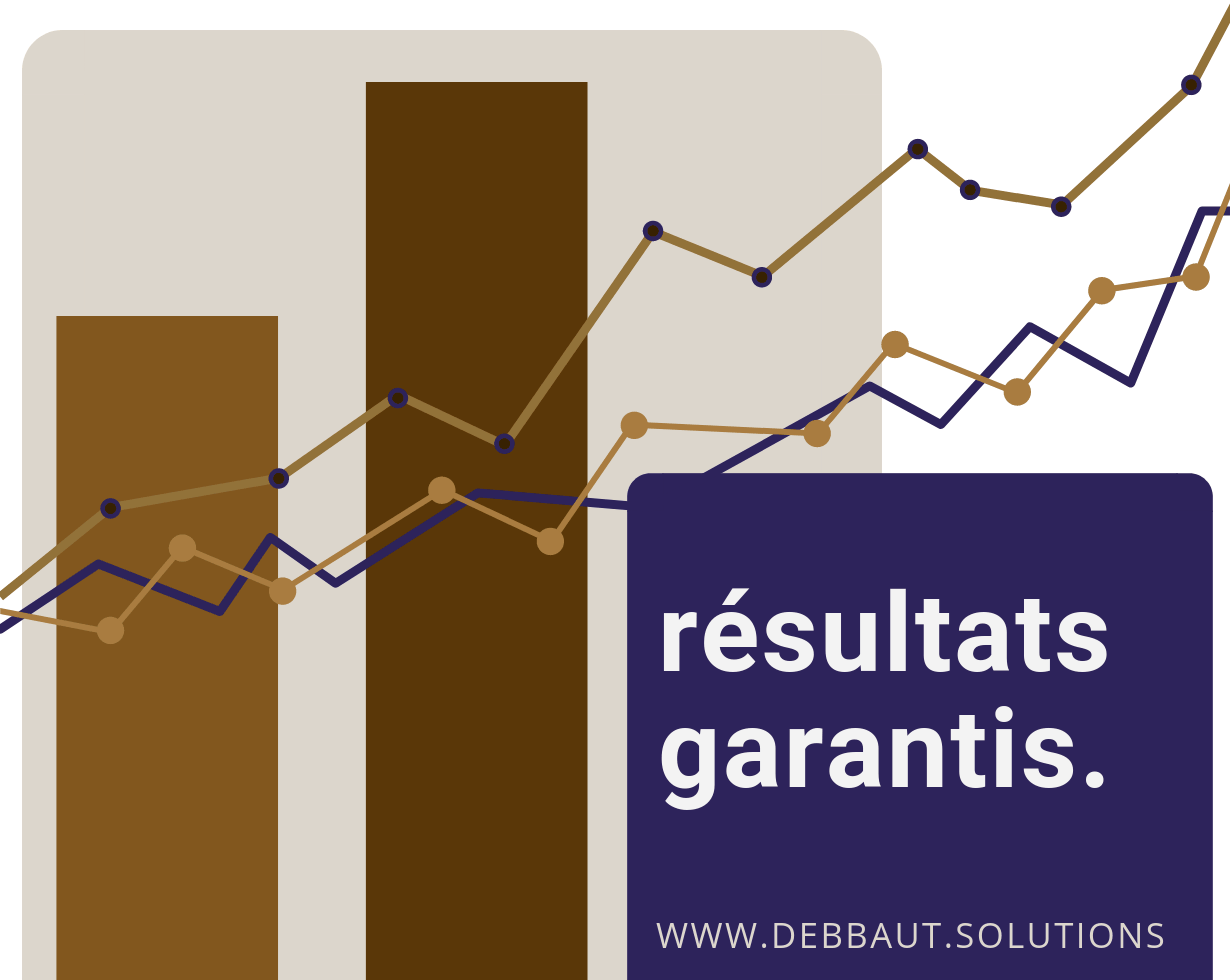 https://www.debbaut.solutions/wp-content/uploads/2018/09/chart_debbaut_solutions_conseils_entreprises_suisse_FR.png