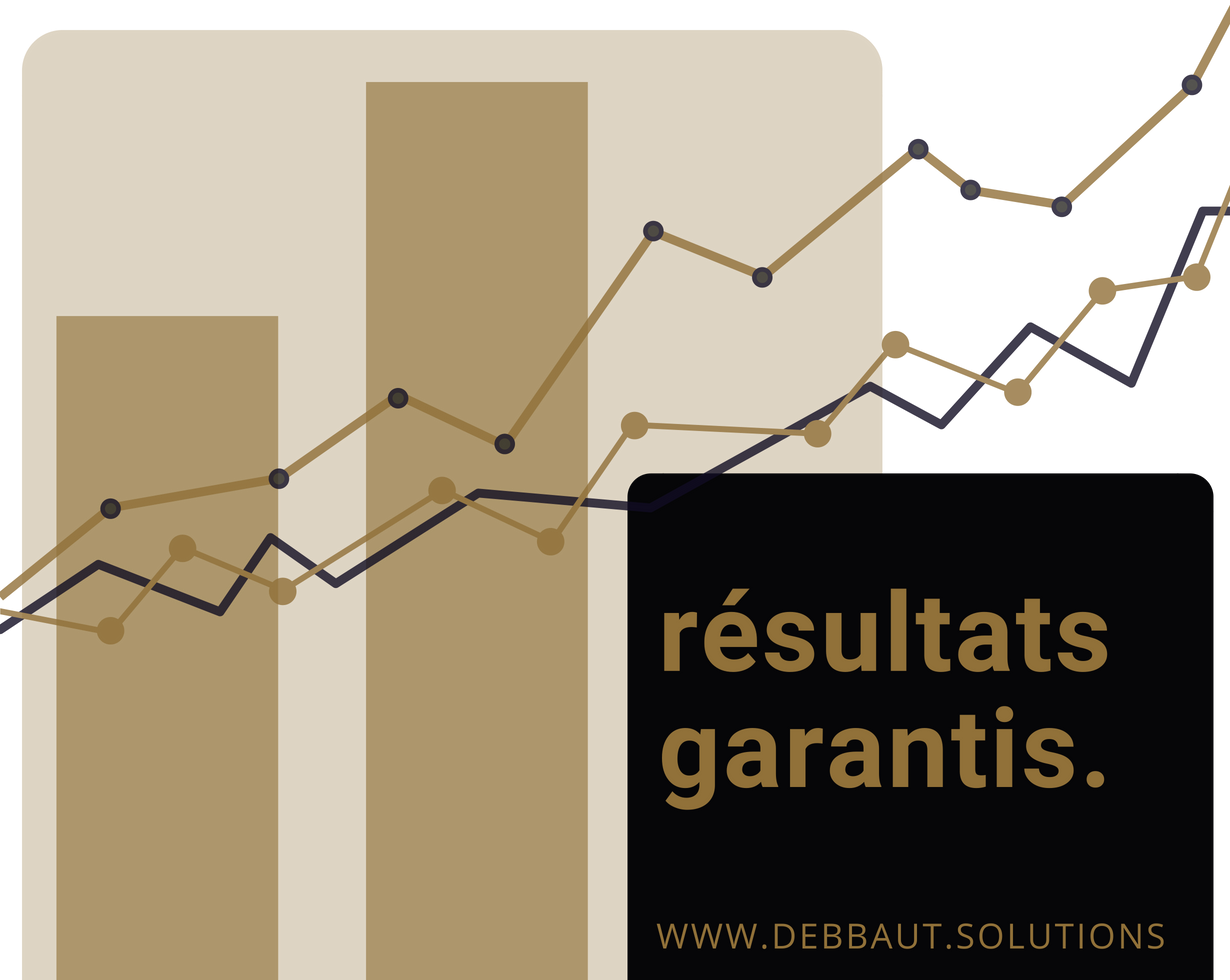 https://www.debbaut.solutions/wp-content/uploads/2018/09/delivering_results_FR.png