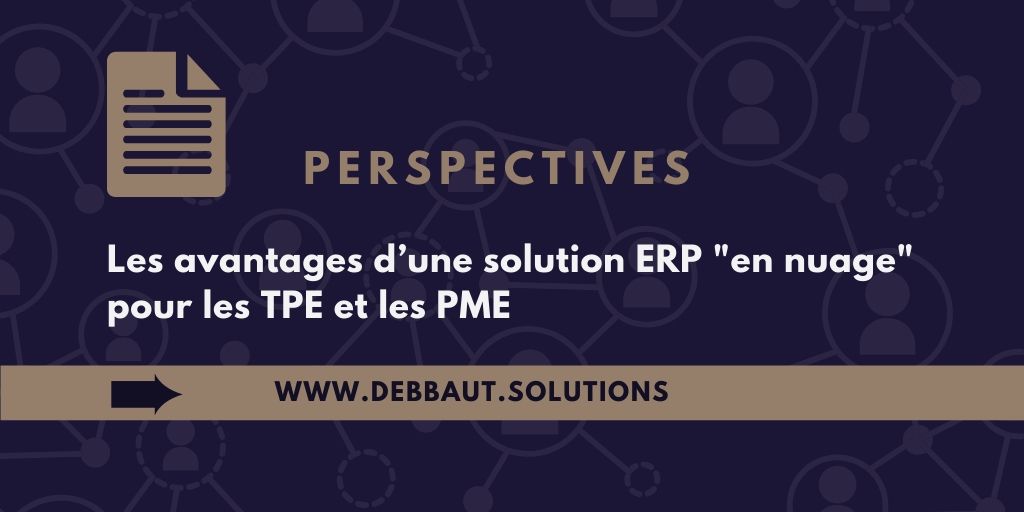 2020_02_DS_EtudeCas_ERP_nuage_TPE_PME_ElenaDebbaut_conseil.jpg