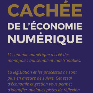 https://www.debbaut.solutions/wp-content/uploads/2020/08/2020_08_ED_book_face_cachee_economie_numerique_Elena_Debbaut-300x300.png