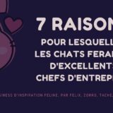 7 raisons pour lesquelles les chats feraient d’excellents chefs d’entreprise - un article d'inspiration féline par Félix, Zorro, Tache, et moi-même. Elena Debbaut