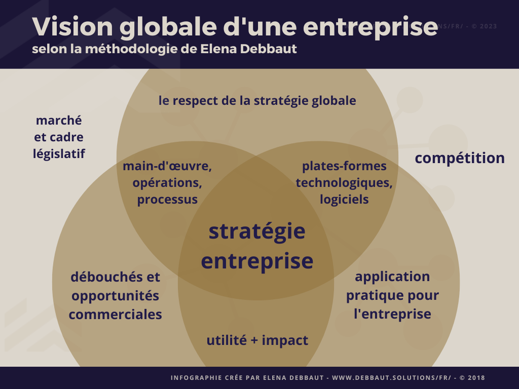 infographique - vision globale entreprise - méthodologie Elena Debbaut infographique - vision globale entreprise - méthodologie Elena Debbaut