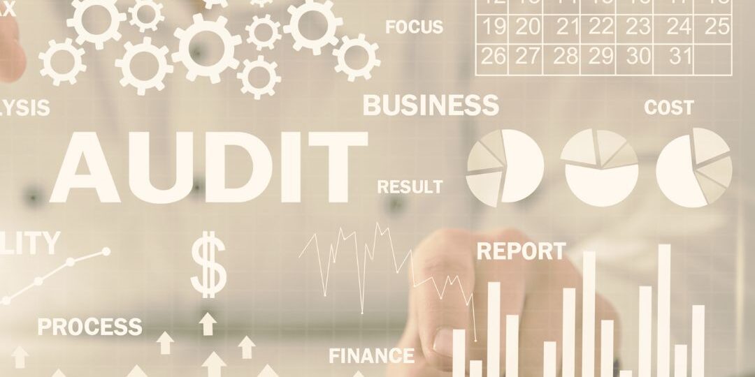 https://www.debbaut.solutions/wp-content/uploads/2023/09/2023_09_audit_mergin_acquisition_devops_it_audits_fintech_software_4-1-1080x540.jpg