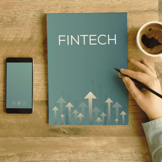 https://www.debbaut.solutions/wp-content/uploads/2023/09/2023_09_project_portfolio_hybrid_agile_fintech_devops_didier_debbaut_2-1-540x540.png