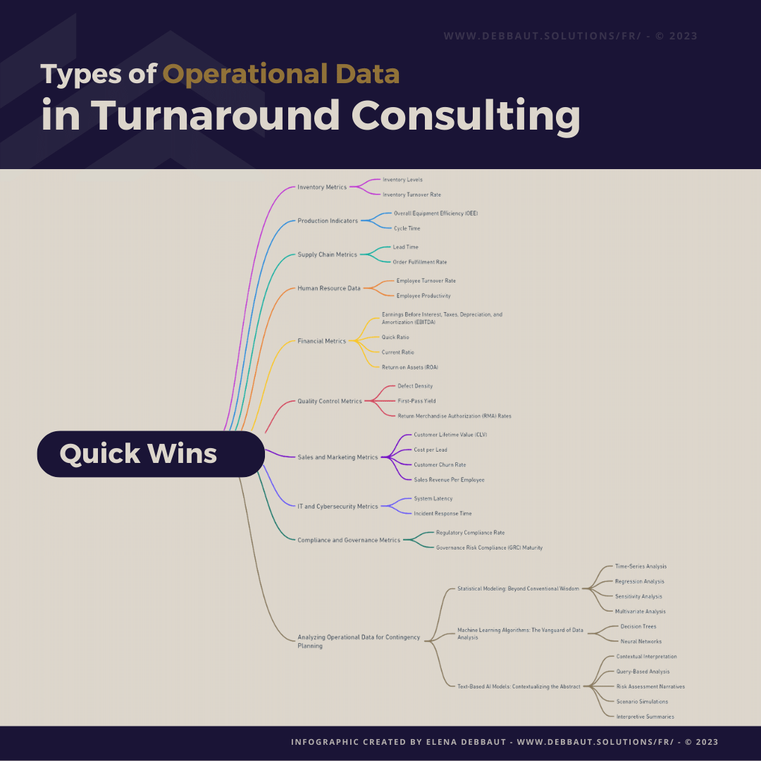 Types of Operational Data in Turnaround Consulting - Elena Debbaut