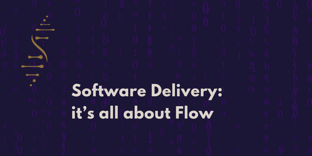 2024_C_code_C_suite_software_delivery_fintech_didier_debbaut.png