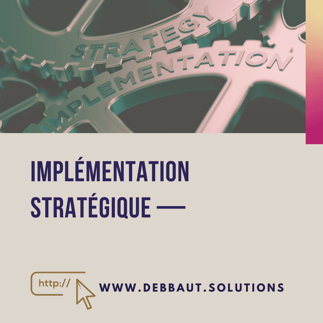2024_12_IG_DS_elena_debbaut_implementation_strategique.png