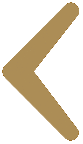 https://www.debbaut.solutions/wp-content/uploads/2025/06/execution-chevron-gold-left.png
