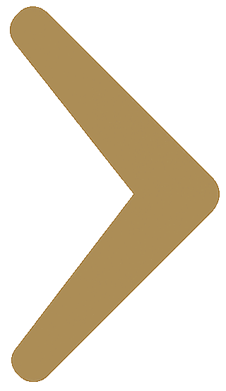 https://www.debbaut.solutions/wp-content/uploads/2025/06/execution-chevron-gold-right.png